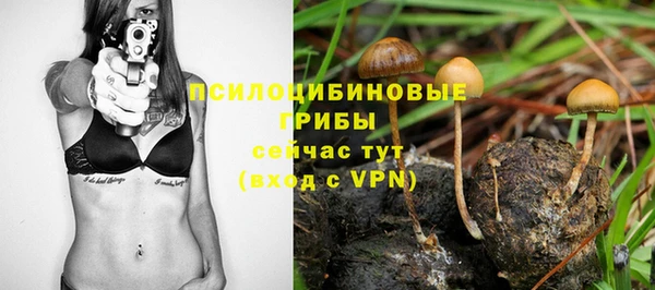 дживик Балахна