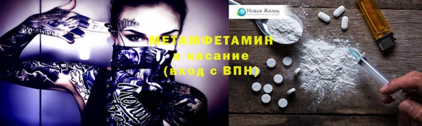 индика Гусь-Хрустальный