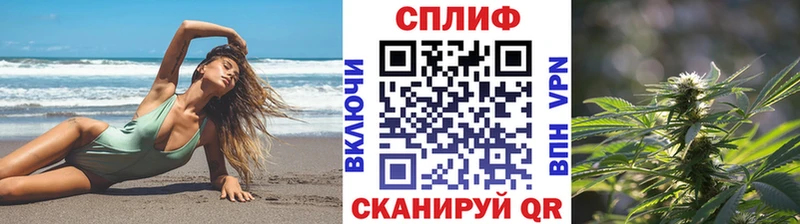 Канабис индика  Певек 